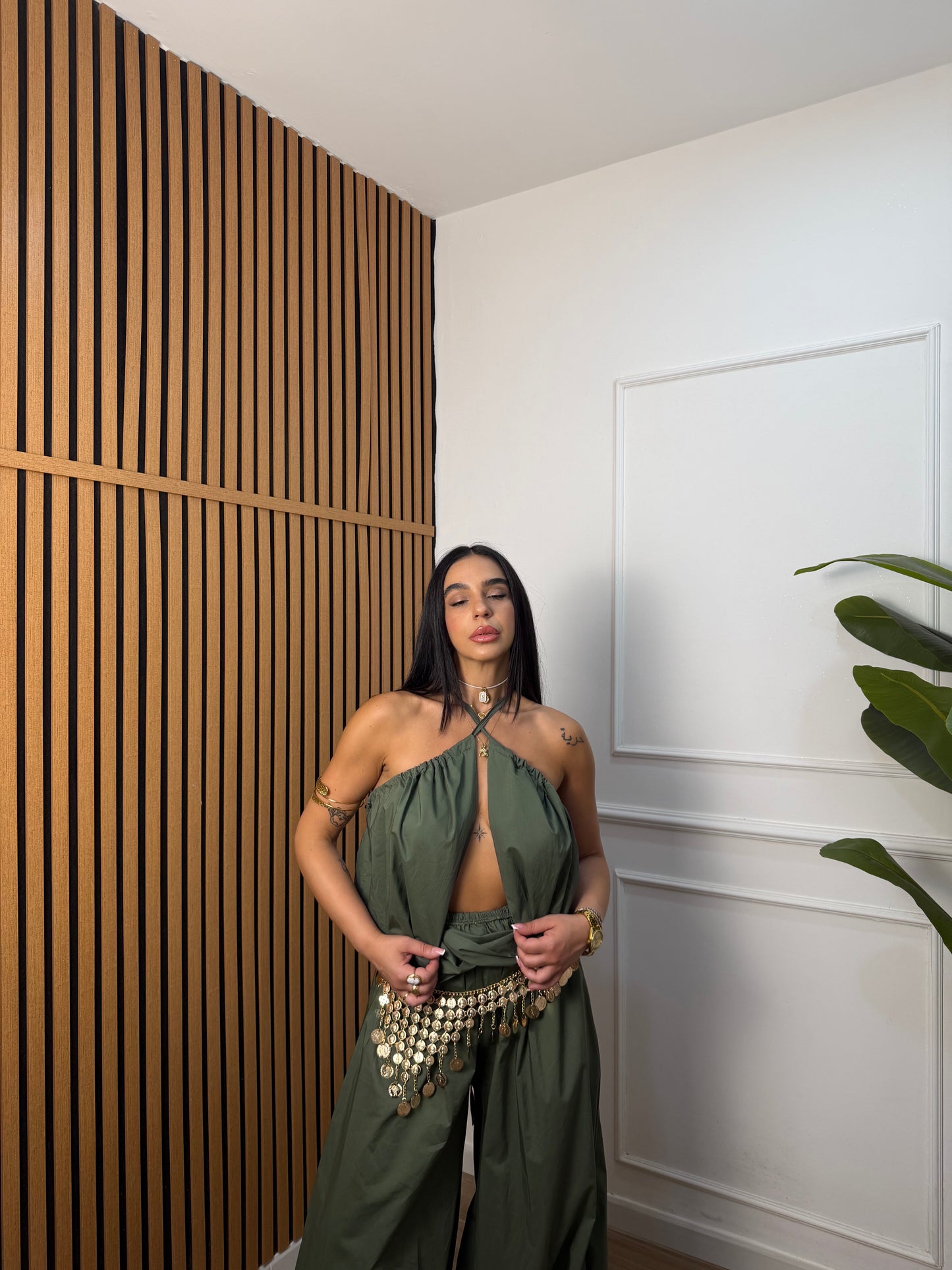 Coordinato aladin