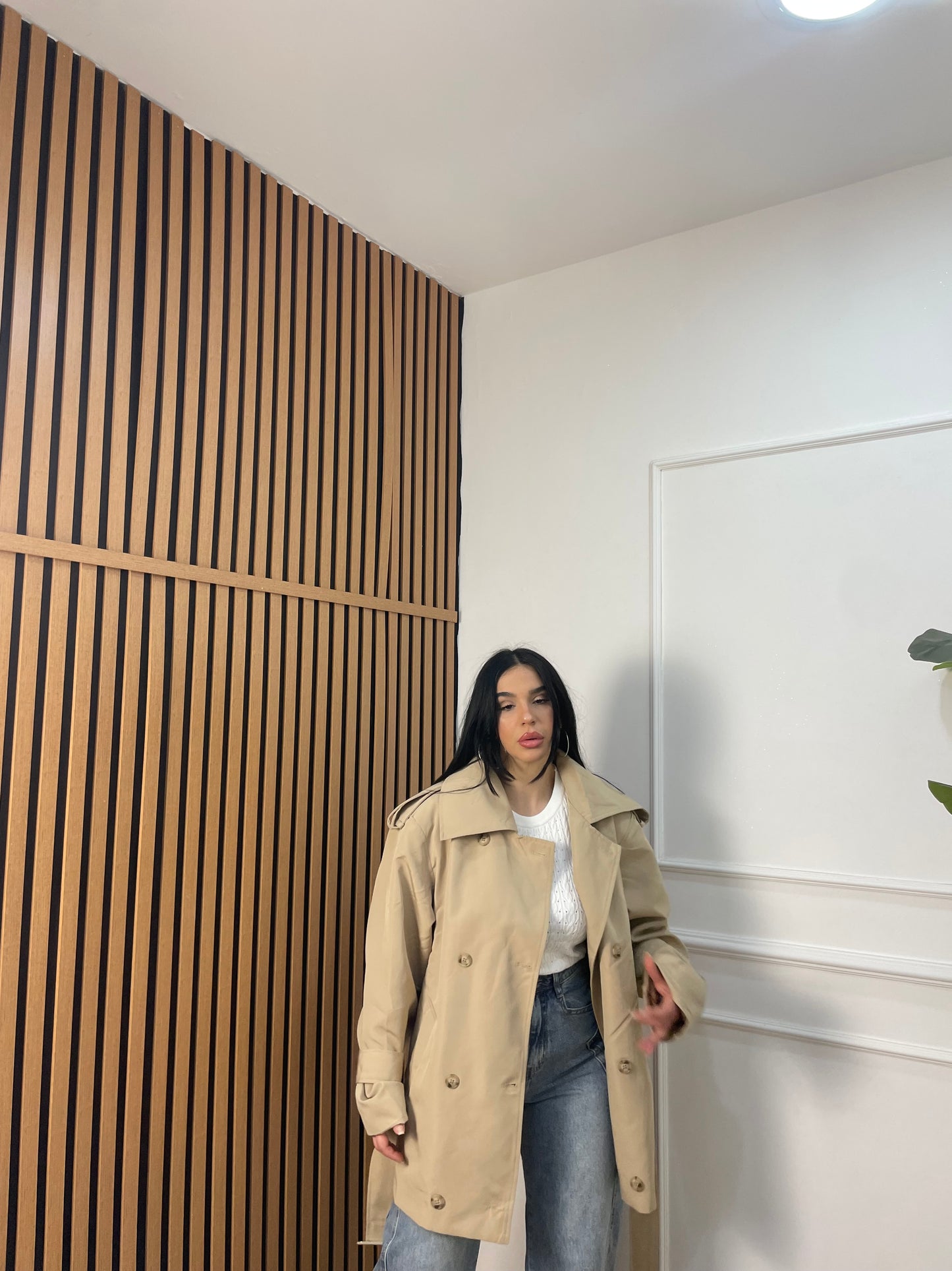 Trench Lussy