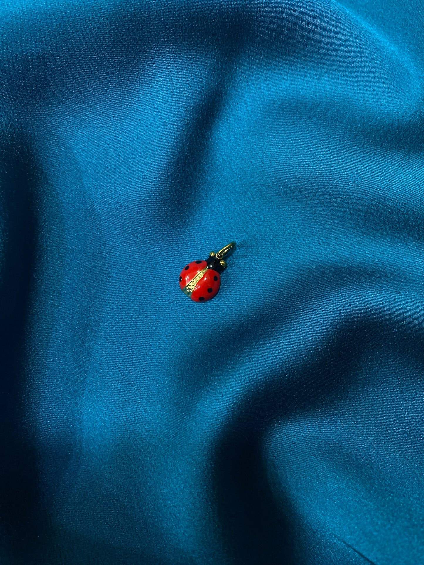 Charmes coccinella ๐