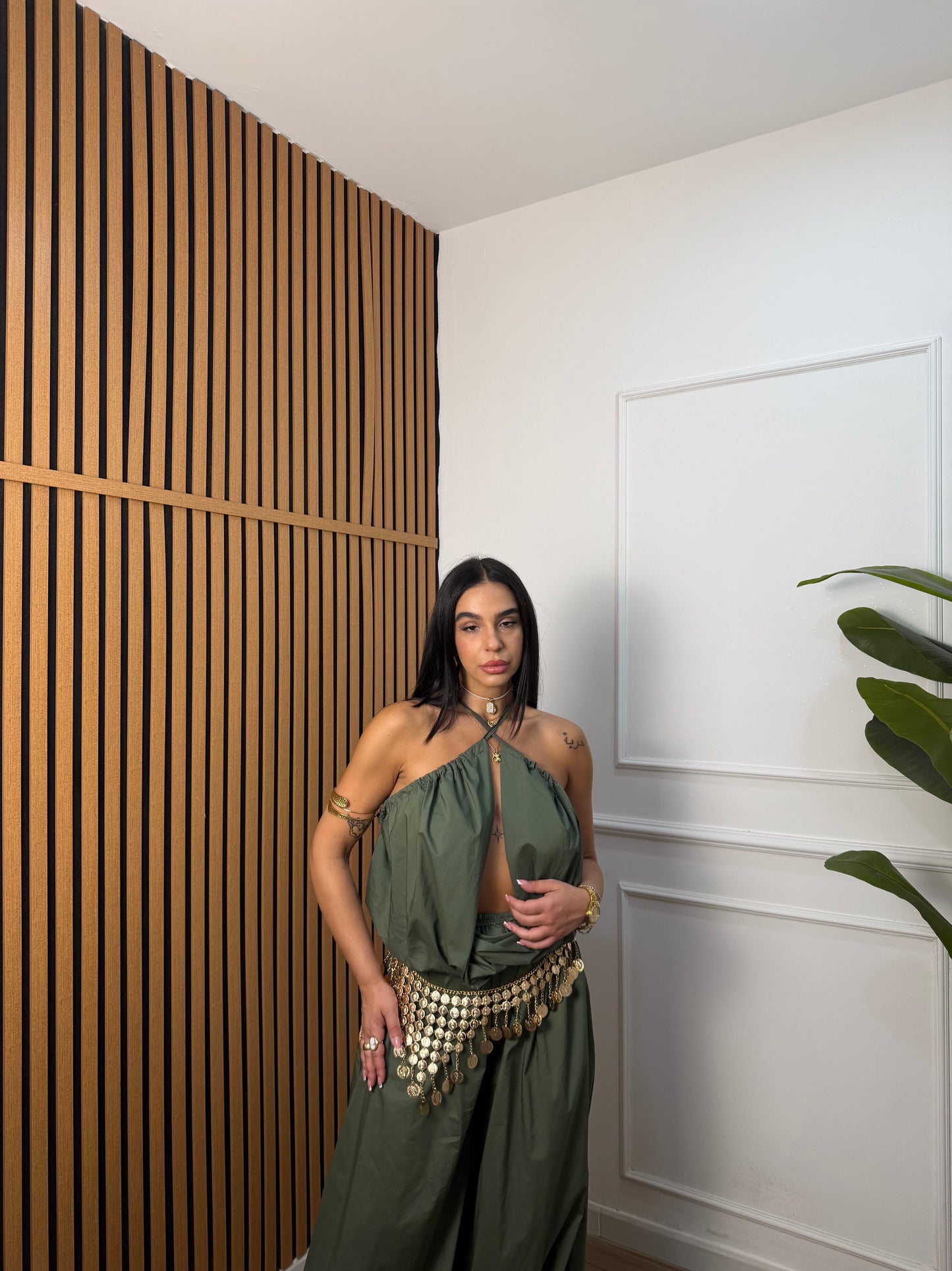 Coordinato aladin