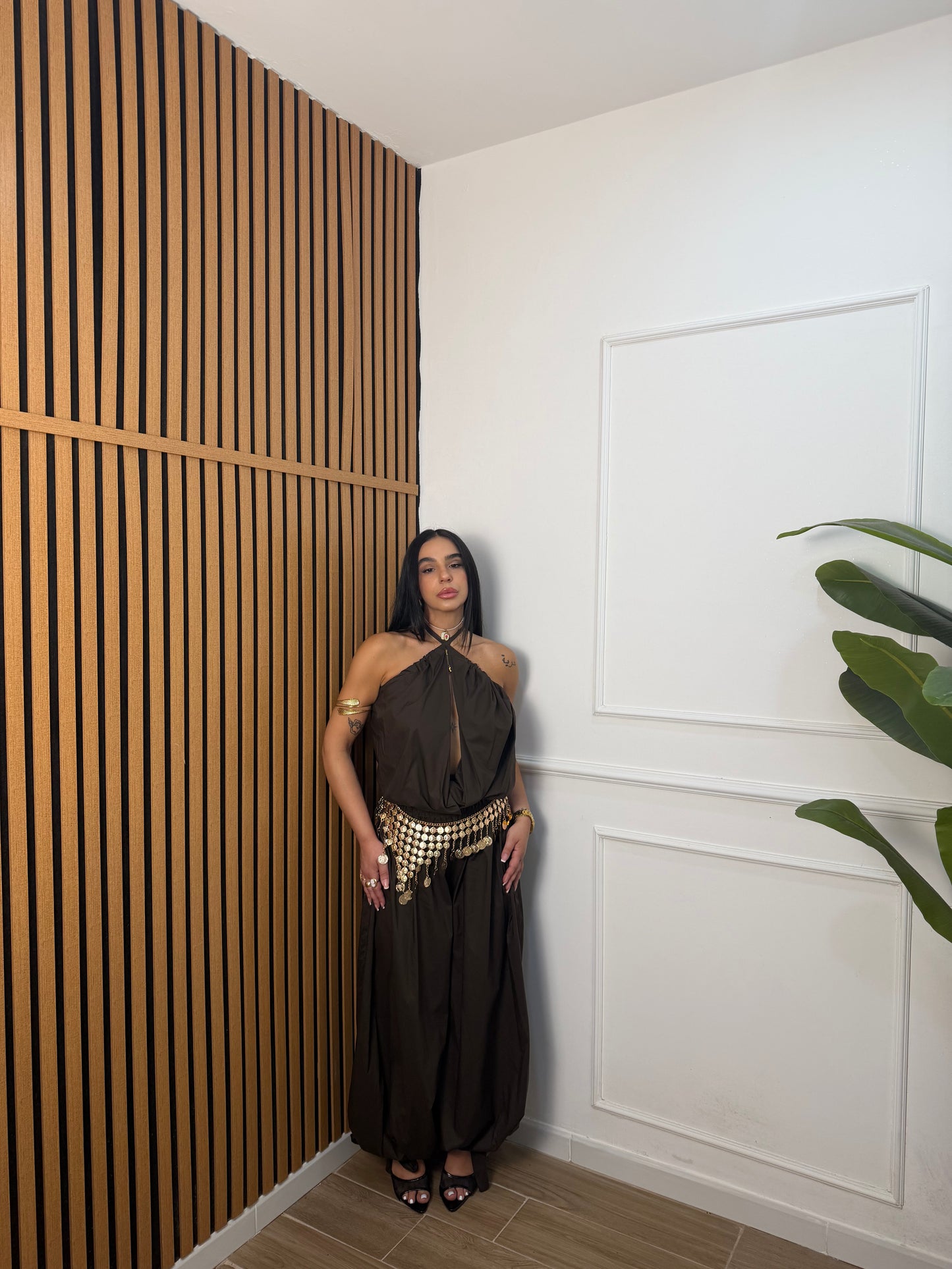 Coordinato aladin
