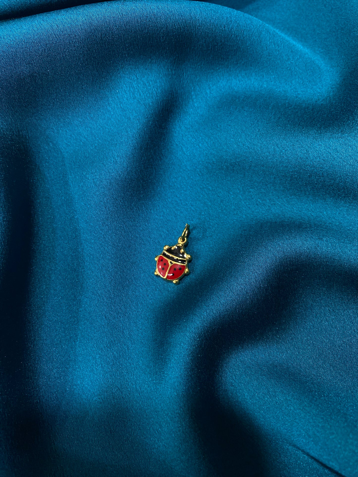 Charmes coccinella 🐞