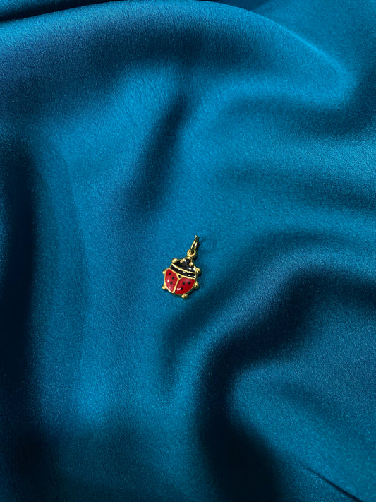 Charmes coccinella 🐞