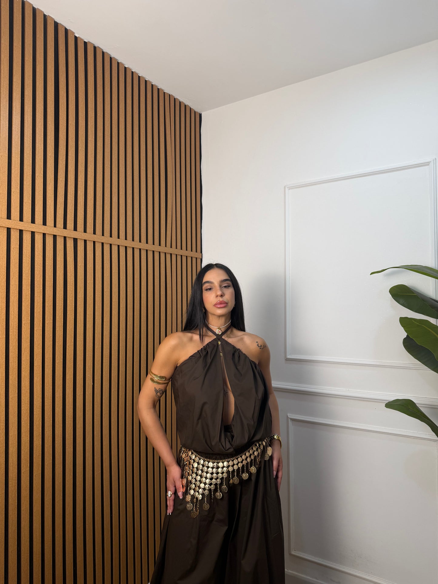 Coordinato aladin