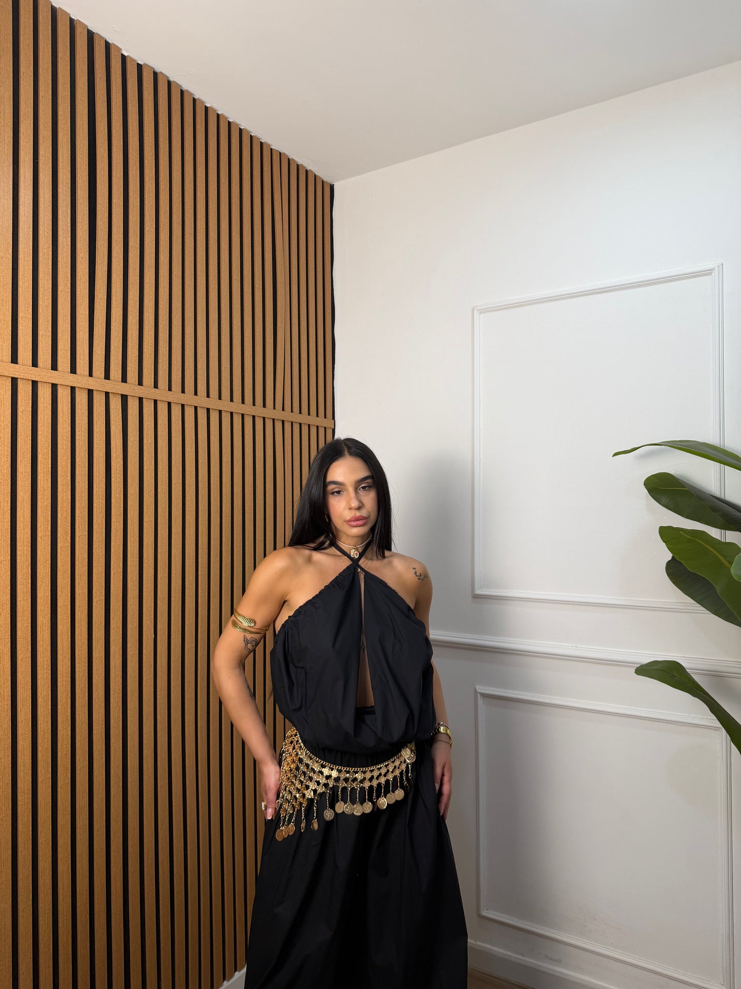 Coordinato aladin