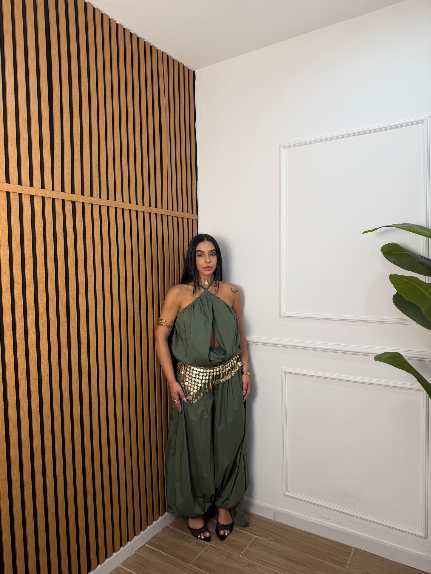 Coordinato aladin